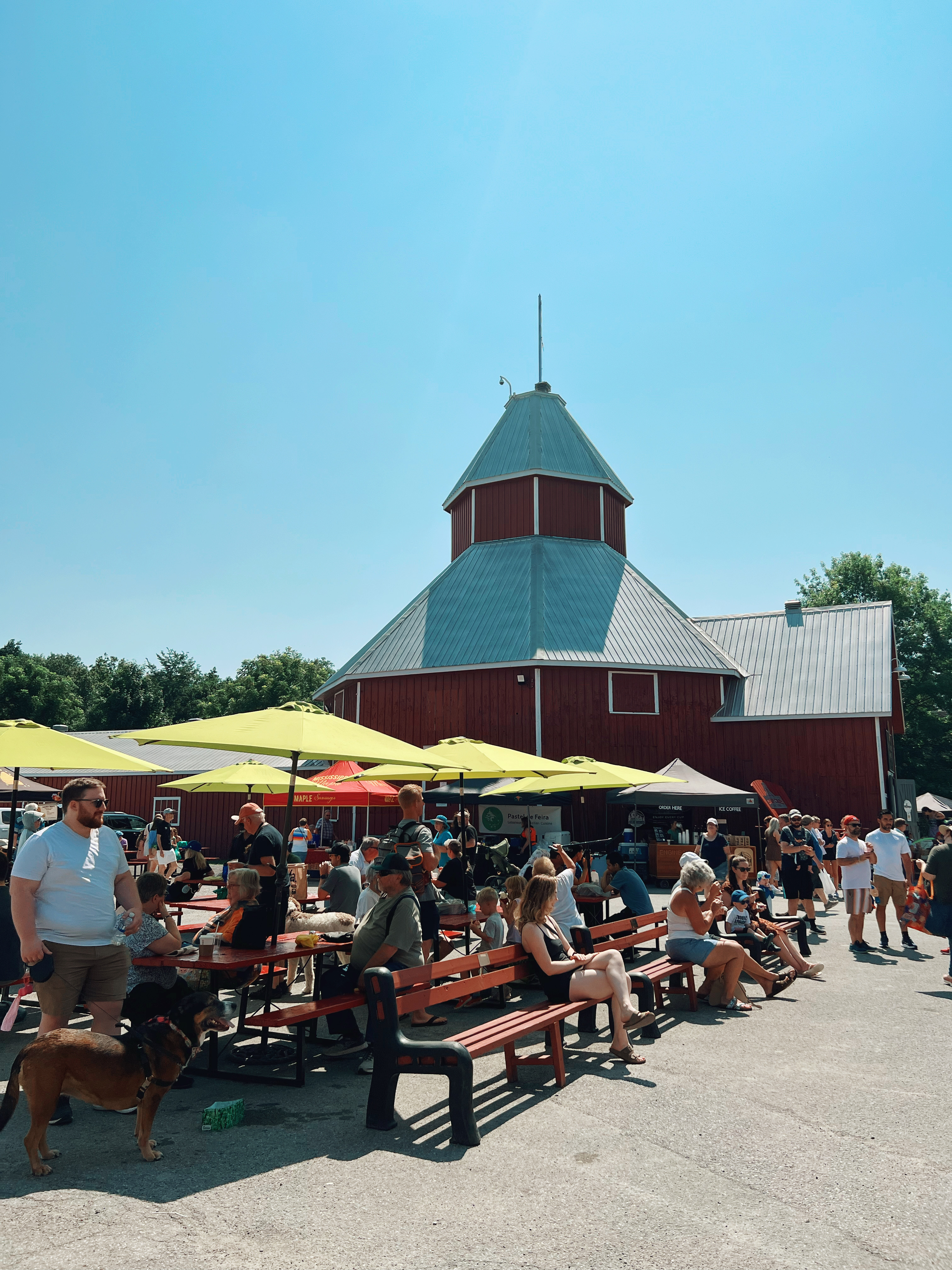 Market Photo