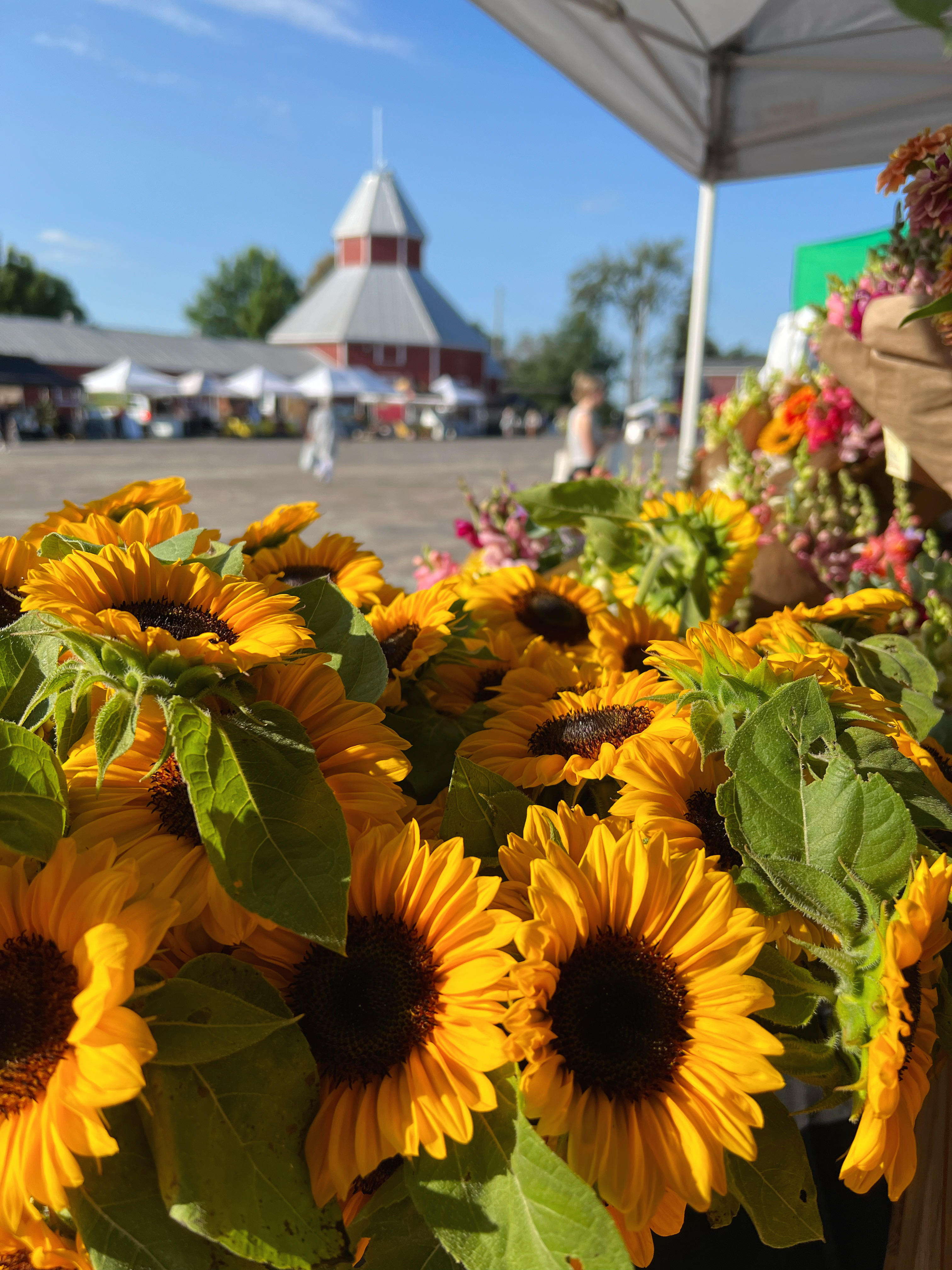 Market Photo