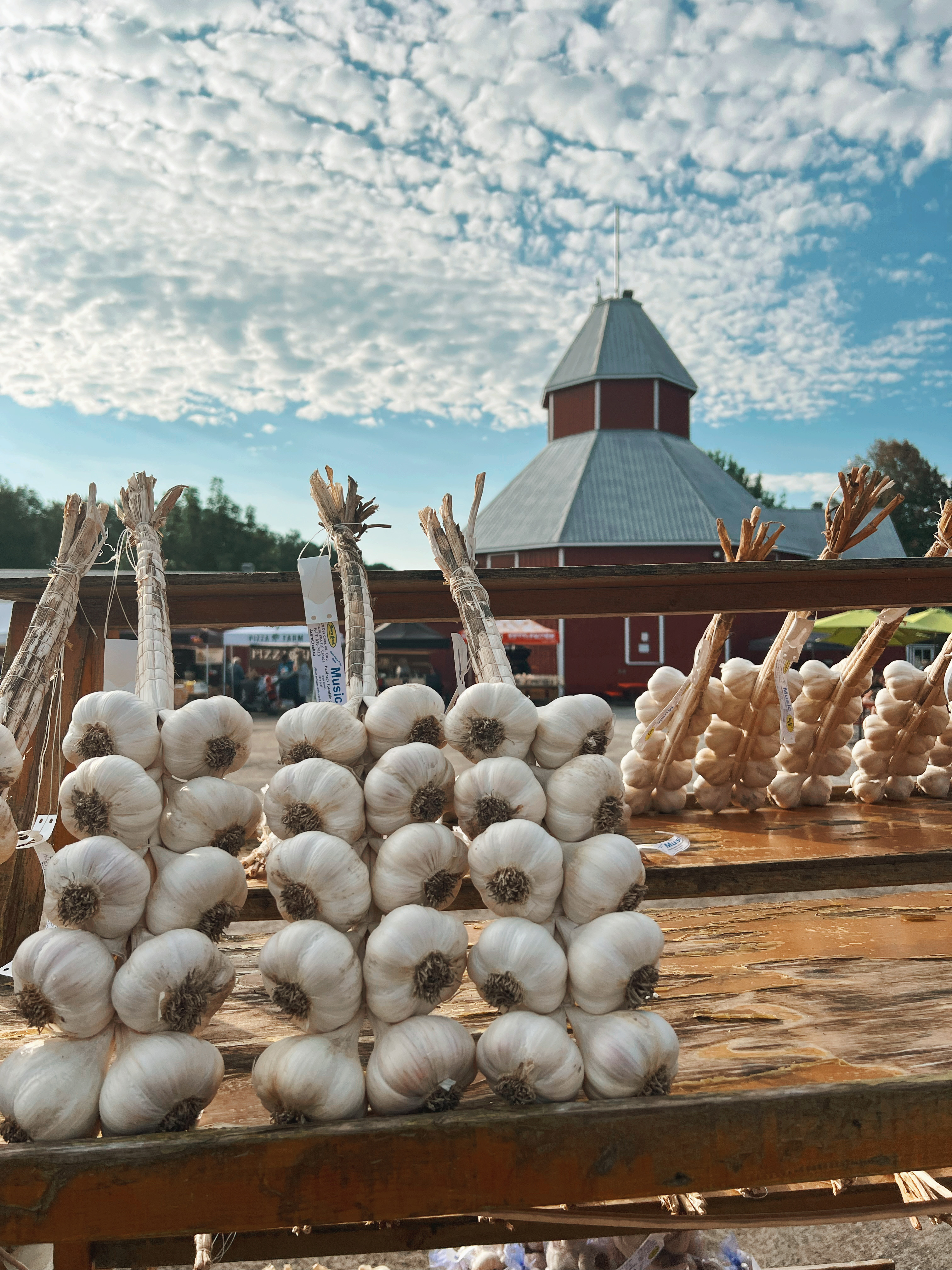 Market Photo