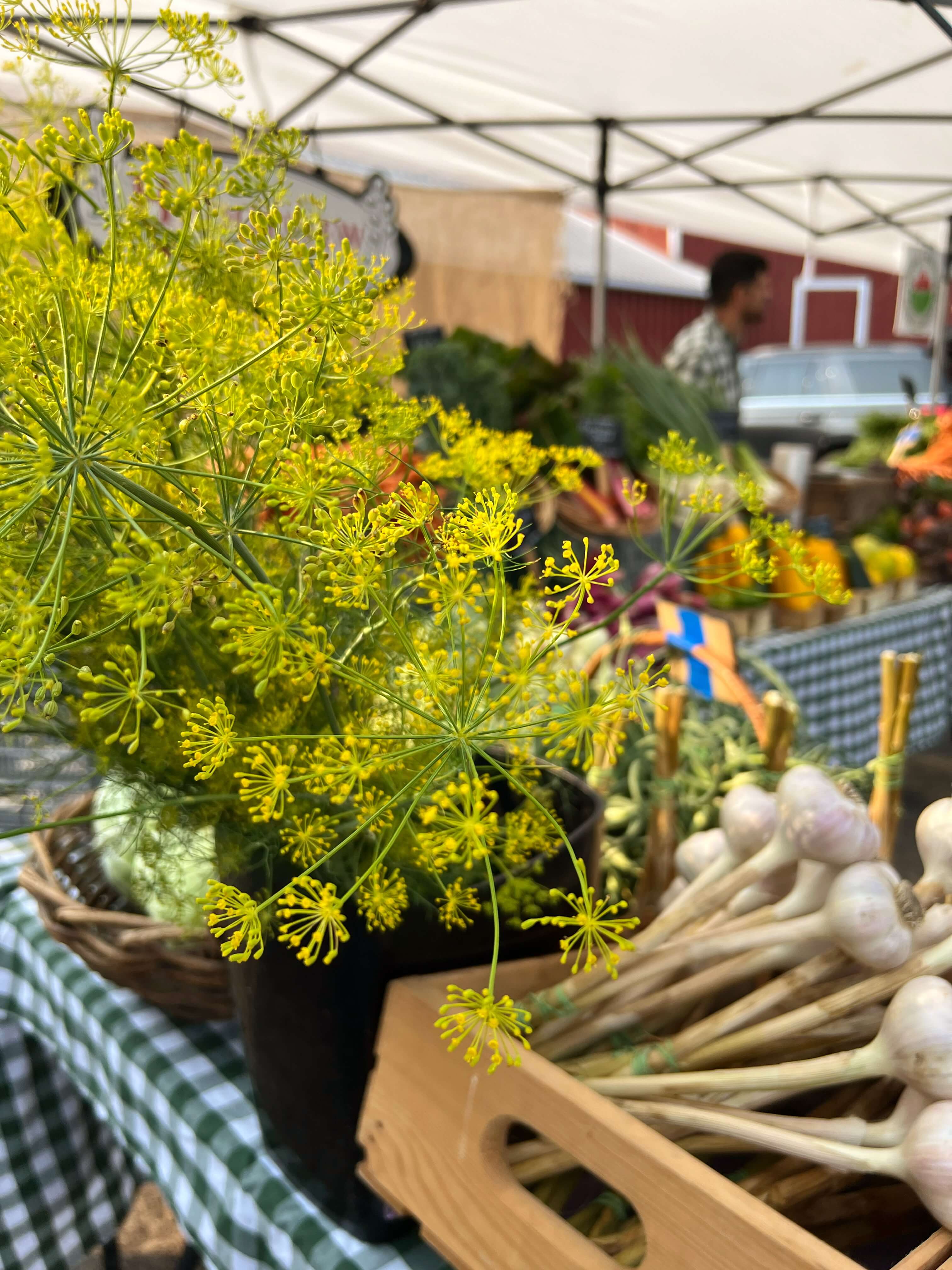 Market Photo