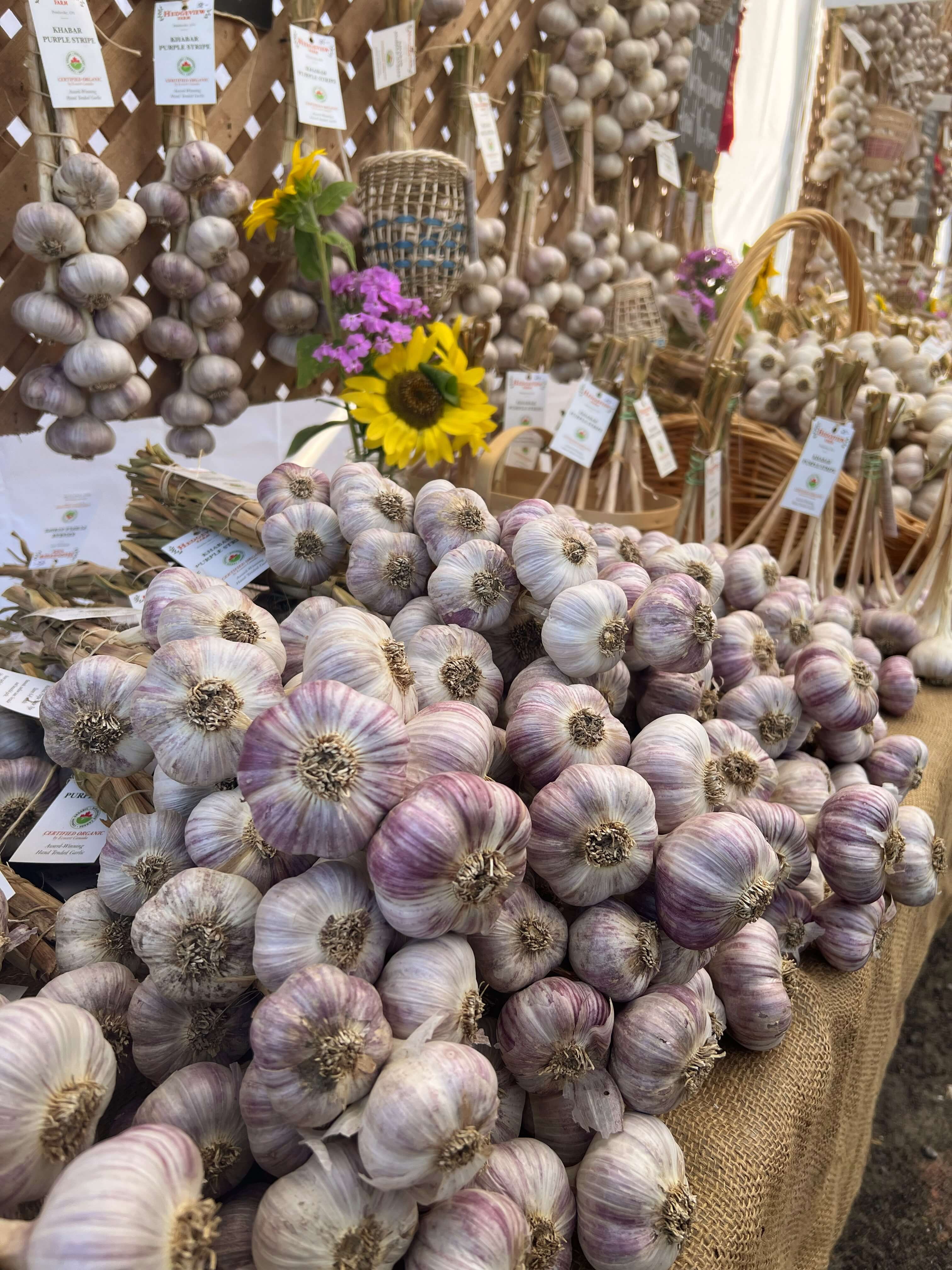 Market Photo