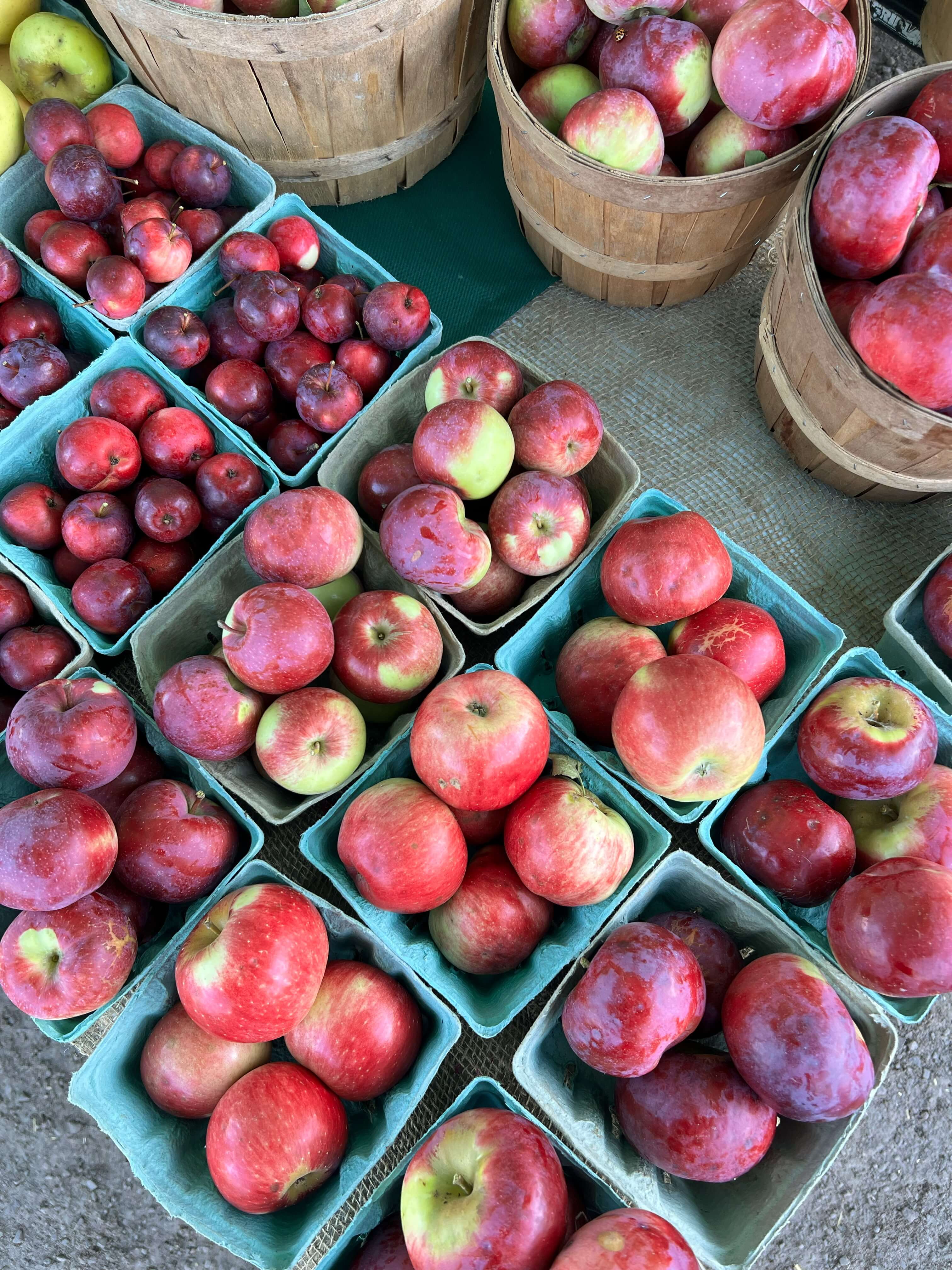 Market Photo